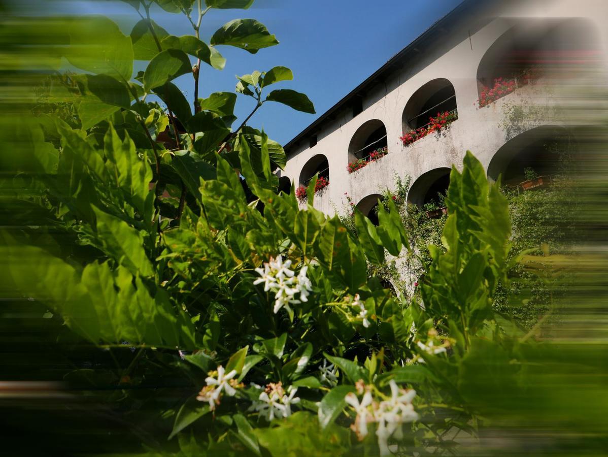 Affittacamere Casa Archi Losone Bagian luar foto